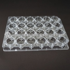 24wells-ps-pcr-plate